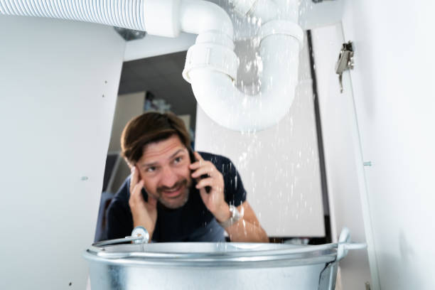 Best Sprinkler Systems  in Dewitt, AR