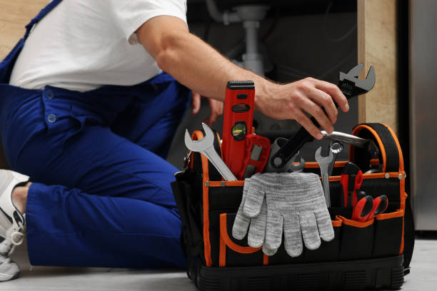 Best Local Plumber Services  in Dewitt, AR